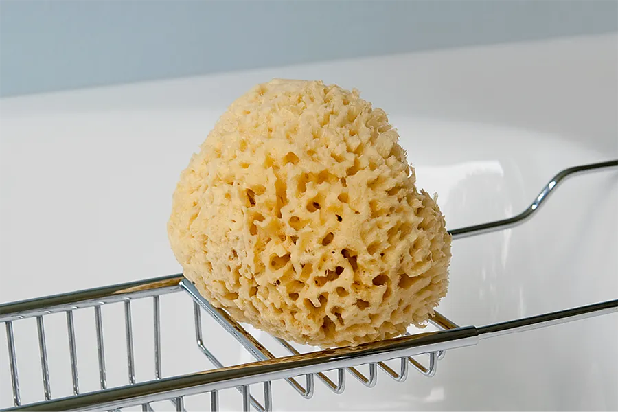 Naturbadeschwamm Naturbadeschwamm