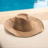 Sonnenhut Desert Muse - 3