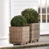 Rattan-Pflanzkörbe 2er-Set - 2